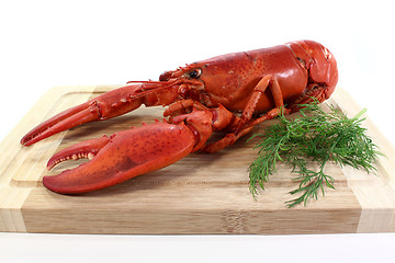 Image showing lobster