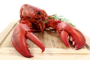 Image showing lobster