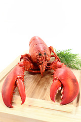 Image showing lobster