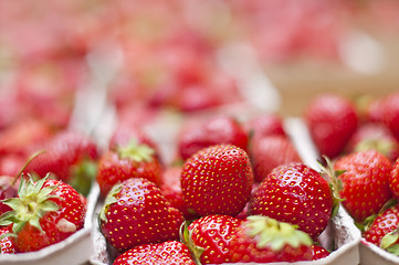 Image showing strawberry