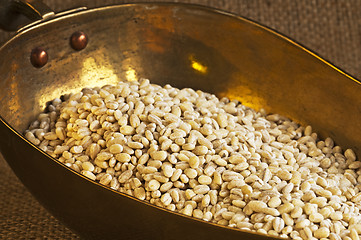 Image showing barley pearls