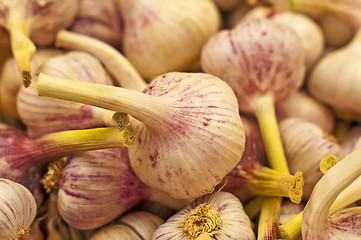 Image showing garlic