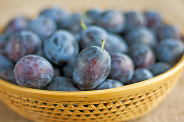 Image showing damson