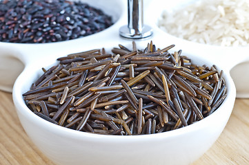 Image showing wild rice