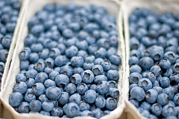 Image showing blueberry