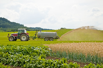 Image showing dung