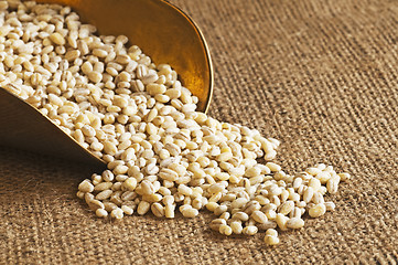 Image showing barley pearls