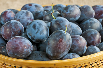 Image showing damson