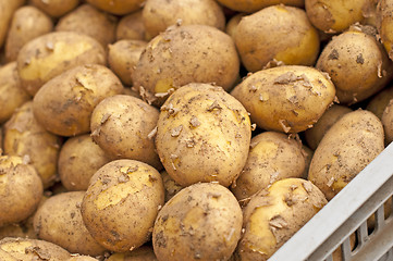 Image showing potato in box