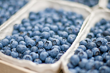 Image showing blueberry