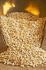 Image showing barley pearls