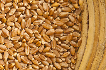 Image showing wheat