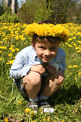 Image showing Boy in a Field of Dandelions