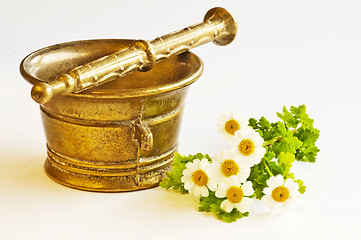 Image showing mortar with feverfew