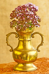 Image showing oregano