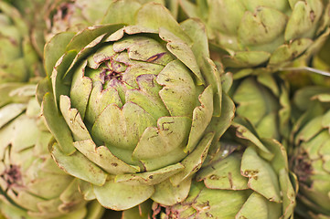 Image showing artichoke