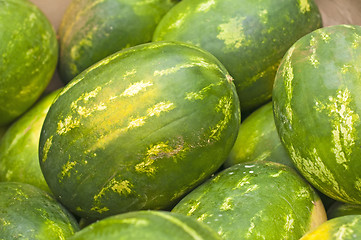 Image showing melon