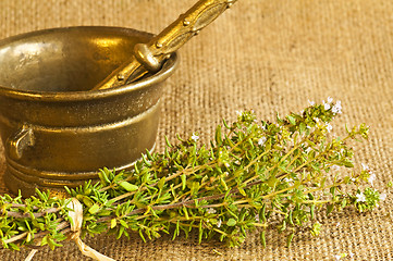 Image showing thyme