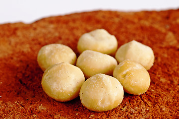 Image showing macadamia nuts