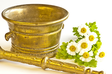 Image showing mortar with feverfew