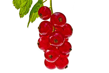 Image showing raspberry