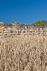 Image showing wheat with an old historic wall in the background
