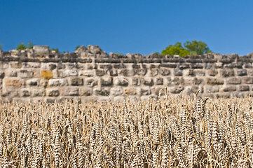 Image showing wheat with an old historic wall in the background