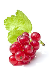 Image showing raspberry