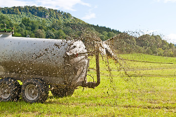 Image showing dung