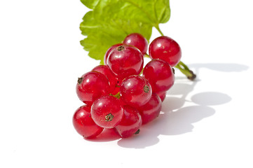 Image showing raspberry