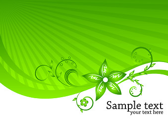 Image showing Vector floral background