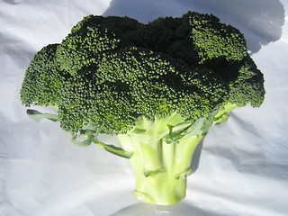 Image showing Broccoli