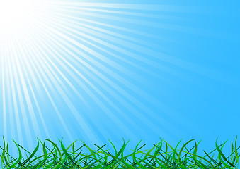 Image showing Vector background with grass