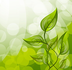 Image showing Background with leaves