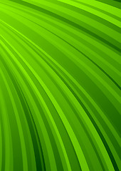 Image showing Abstract striped background in green color