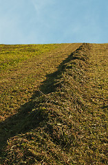 Image showing meadow with hay