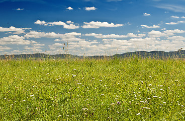 Image showing autumnal meadow with mountains