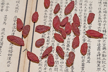 Image showing Goji-berries, Lycium barbarum