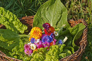 Image showing basket with chard,salad and flowers