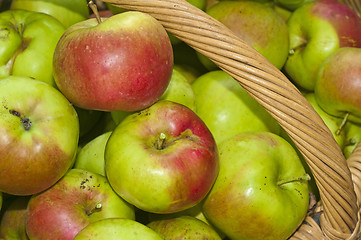 Image showing apples in a basket