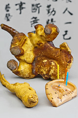 Image showing Acupuncture needles, Ginseng and Reishi mushroom
