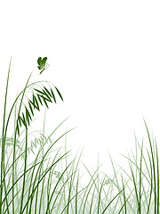Image showing Vector grass silhouettes background