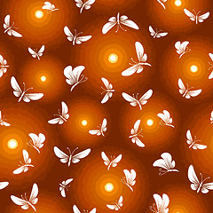 Image showing night butterfly moth seamless