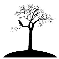 Image showing silhouette ravens on tree isolated