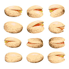 Image showing pistachio fruit set isolated on white