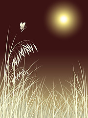Image showing butterfly grass in moon night pattern