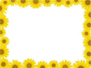 Image showing sunflower frame