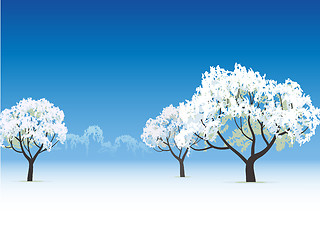 Image showing frozen tree snow covered