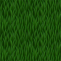 Image showing green grass field seamless background