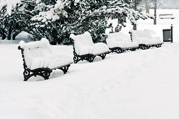 Image showing Bench at snow